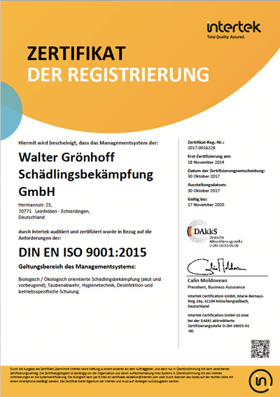 DIN EN ISO 9001:2015 Geltungsbereich des Managementsystems