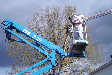 Schädlingsbekämpfung Eichenprozessionsspinner mit Kran