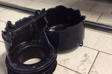 Schädlingsbekämpfung Ratte