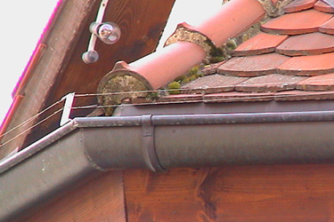 Taubenabwehr Tauben bekämpfen Dach